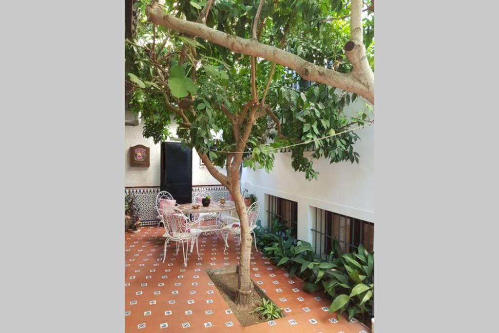 Casa En Granada Con Hermoso Jardin, Parking Calle Exteriör bild